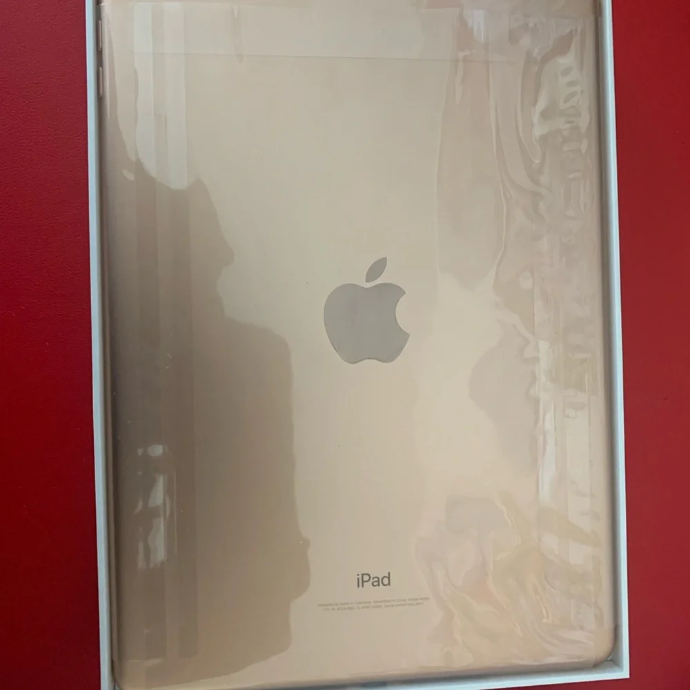 iPad (6th generation)